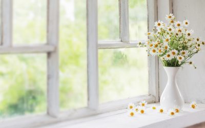 Décorer votre intérieur avec des plantes qui vous aident à dormir
