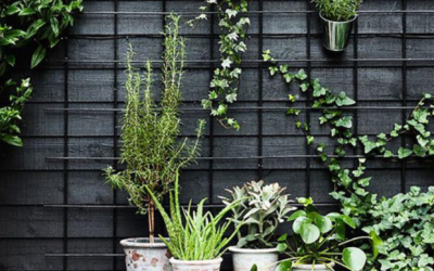 Prêts à être inspirés ? Les plus belles astuces de vos jardins !