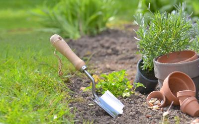 Pourquoi entretenir son jardin régulièrement ?