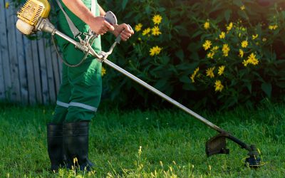 Préparer son jardin pour l’été 