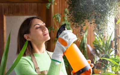 Comment transformer son balcon en micro-jardin vert ?