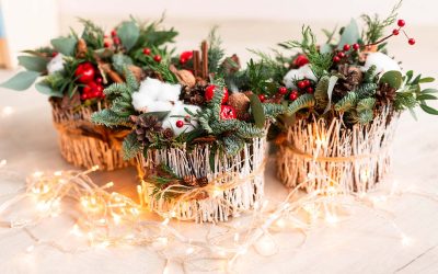 Des fleurs et des plantes emblématiques pour Noël