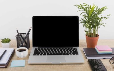 Adopter le design biophilique chez-vous