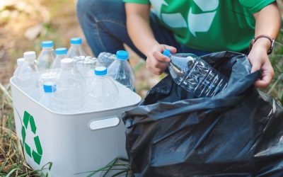 Responsabilité écologique : quelques gestes vert à adopter à la maison