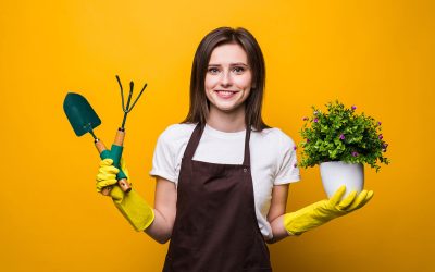 Quelles plantes placer dans le rebord de fenêtre ? 