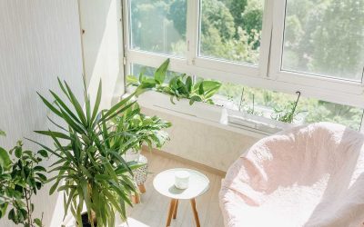Comment embellir sa terrasse avec des fleurs ?