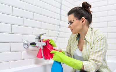 Quels produits écologiques pour bien nettoyer votre maison ?