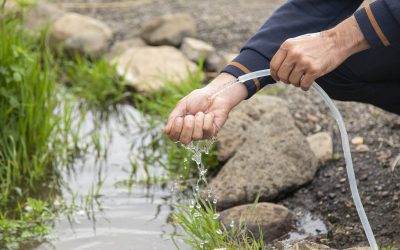 Les raisons pour lesquelles on doit récupérer ses eaux de pluie 