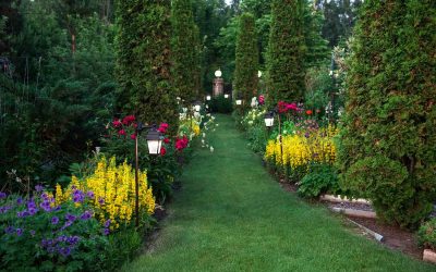 Comment choisir des arbustes pour son jardin ?