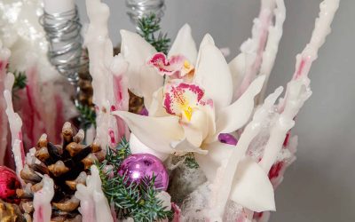 Les plus belles plantes de Noël pour la décoration de votre maison