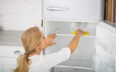 Astuces d&rsquo;entretien pour allonger la durée de vie de votre réfrigérateur