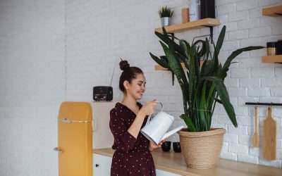 Les meilleurs aménagements pour une petite cuisine 