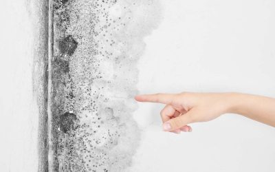 Comment faire face aux problèmes de moisissure dans sa salle de bain