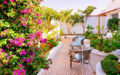 5 conseils pour rendre votre terrasse un espace chaleureux et convivial
