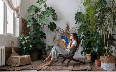 Les principes du design écologique pour un aménagement intérieur respectueux de l&rsquo;environnement