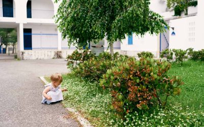 Créer un jardin magnifique dans votre cour arrière : Conseils d&rsquo;aménagement pour un espace enchanteur