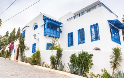أفضل المناطق السكنية في تونس : أين تجد أفضل العقارات؟