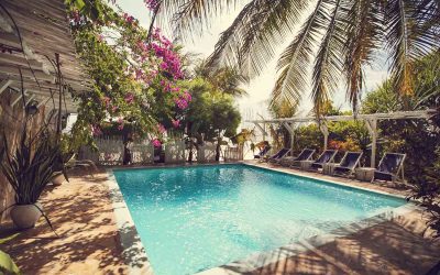 Les plus belles piscines pour votre jardin : inspirations pour un espace extérieur de rêve