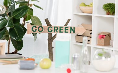 Aménagement écologique : comment rendre votre maison plus durable ? 