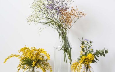 La magie du verre dans la décoration : Astuces pour créer une illusion d&rsquo;espace