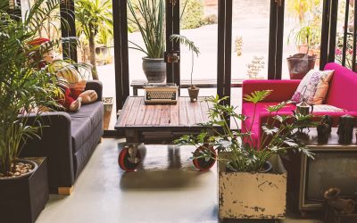 Les jardins intérieurs : apporter la nature à l&rsquo;intérieur