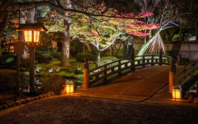 Éclairage de jardin : comment transformer votre jardin en un havre de paix ? 