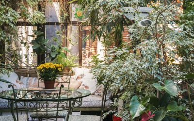 Idées de jardins d&rsquo;hiver : profiter de la nature malgré le froid