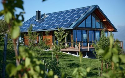 Vers un avenir vert : tendances de l&rsquo;industrie immobilière en 2024