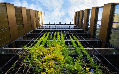 L&rsquo;immobilier de luxe durable : une tendance qui s’impose 