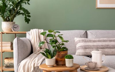 Décoration écologique et durable : comment procéder ? 