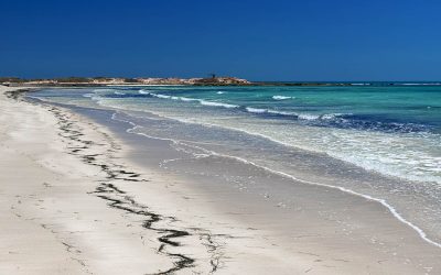 Découvrez les meilleures destinations pour se promener en Tunisie en été