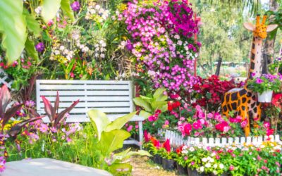 Comment aménager votre jardin en été : Guide complet pour un espace verdoyant