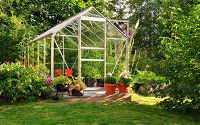 L&rsquo;implantation des arbustes dans votre jardin pour l&rsquo;hiver