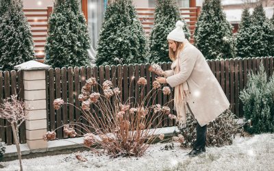 Aménager et entretenir son espace extérieur en hiver : Nos conseils