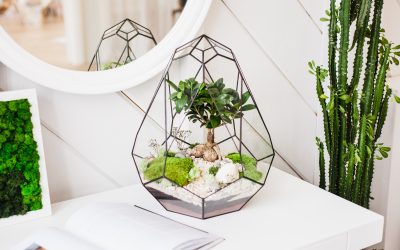 Intégrer les plantes d’intérieur dans votre déco : idées et conseils tendance
