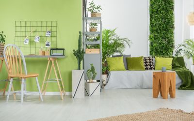 Créer un espace vert à l&rsquo;intérieur de votre maison : Guide pratique