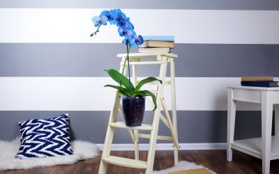 Comment rénover la décoration de votre maison : Astuces et idées