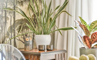 Décorez votre maison avec des plantes : Conseils et inspirations
