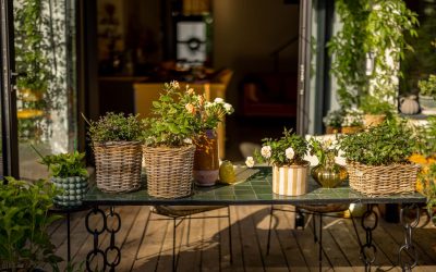 Comment aménager sa terrasse pour le printemps ? Idées et conseils