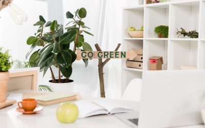 Décoration éco-responsable : Comment embellir son intérieur de manière durable