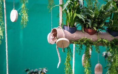 Décoration extérieure éco-responsable : allier style et respect de la planète