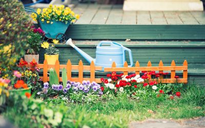 Aménagement extérieur en été : comment protéger vos plantes quand il fait chaud