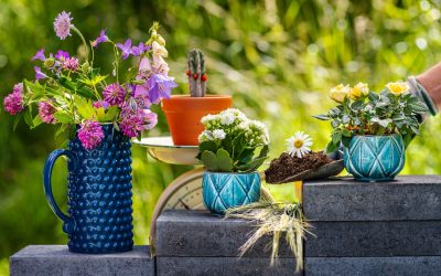 Décoration de jardin : les tendances incontournables en 2025