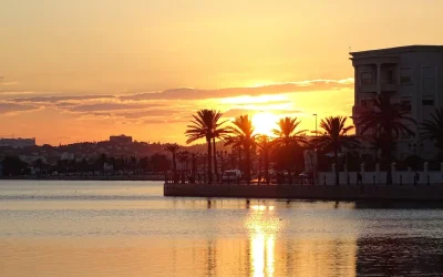 65ef48e3-597f-4405-8411-8d49ca412b87_1.9126927fff2384da5b754e04a36bf813